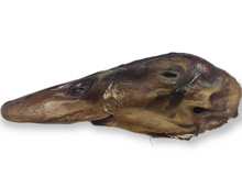 Load image into Gallery viewer, Duck Heads