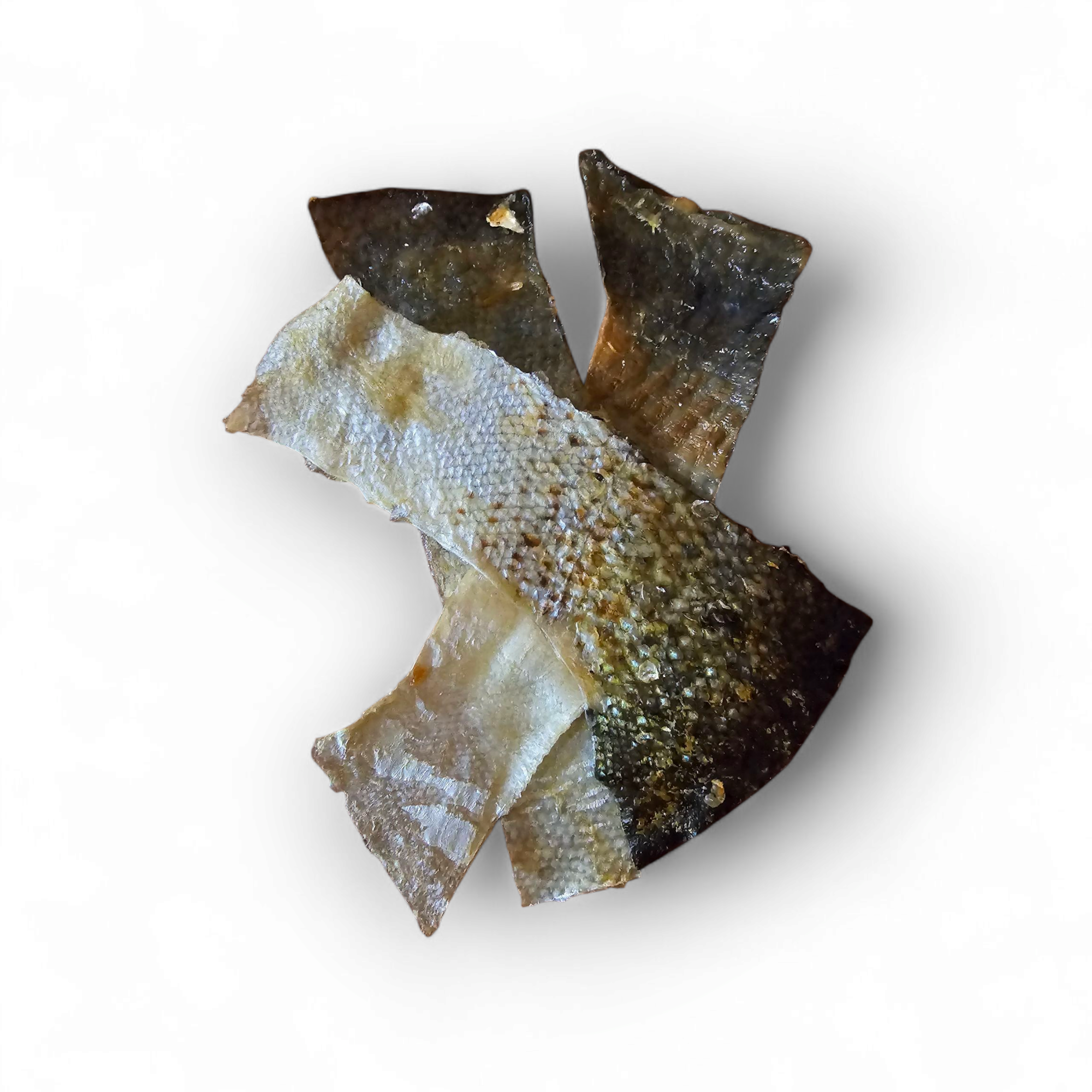 Salmon Skin