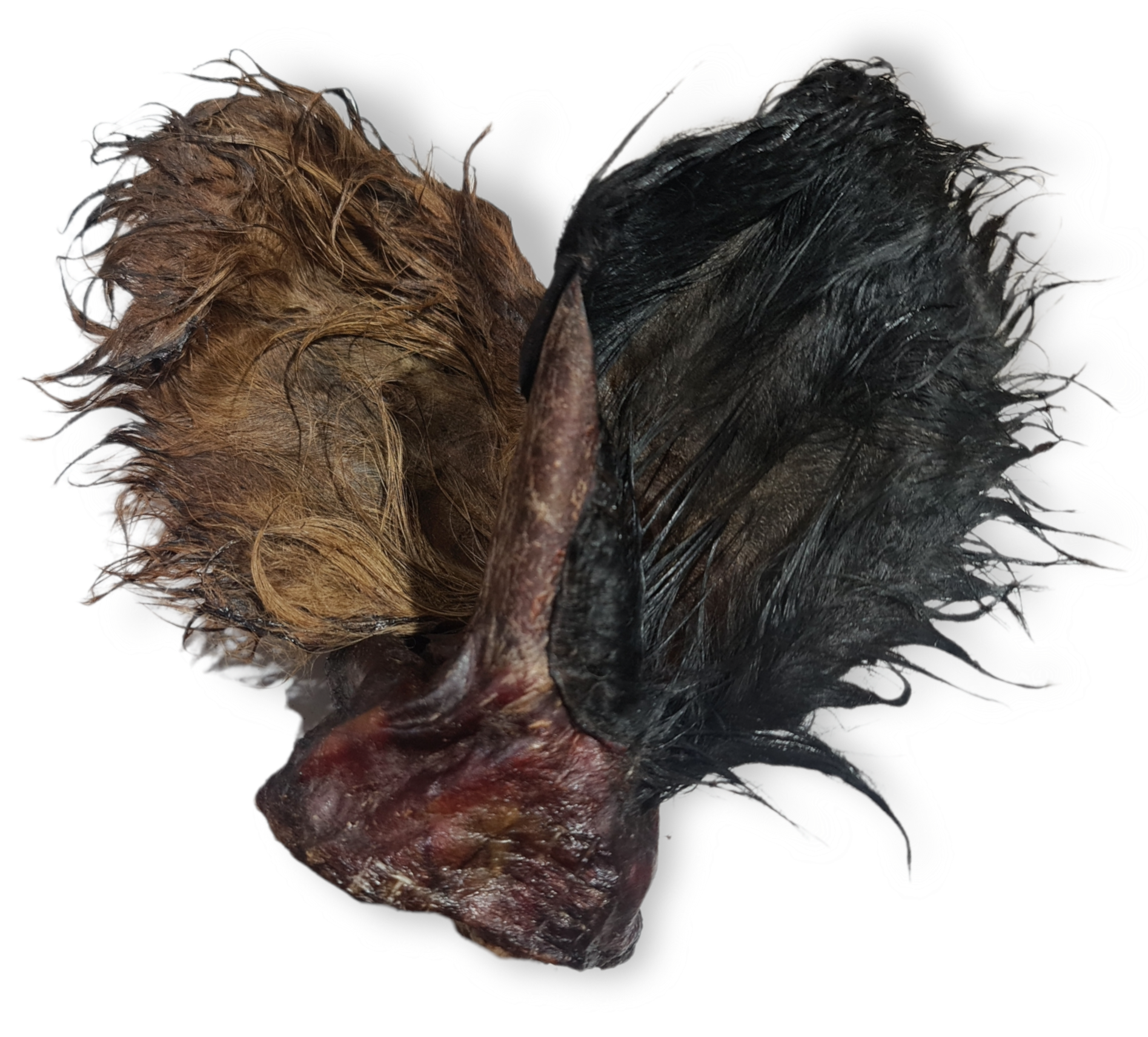 Cow Ears - fur on Clearance