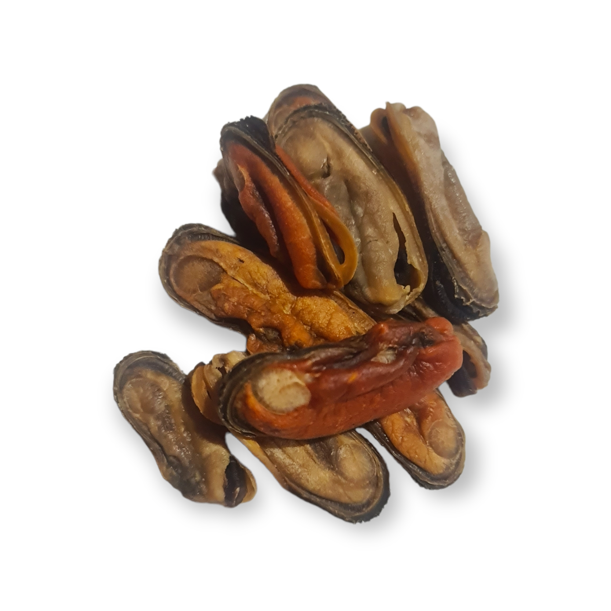 NZ Green Lipped Mussels